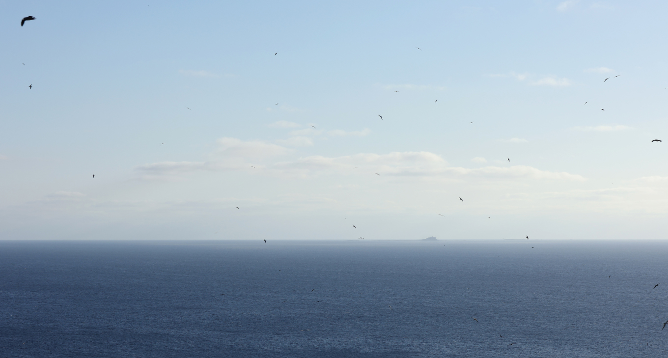 El horizonte expandido. Islas Salvajes, Alicia Pardilla, 2023