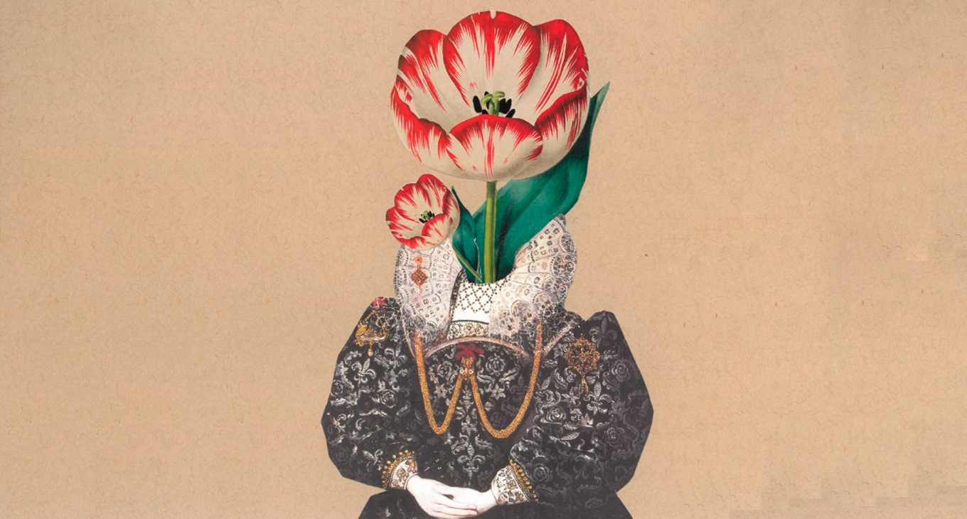 Rosa Vera. Sin Título
