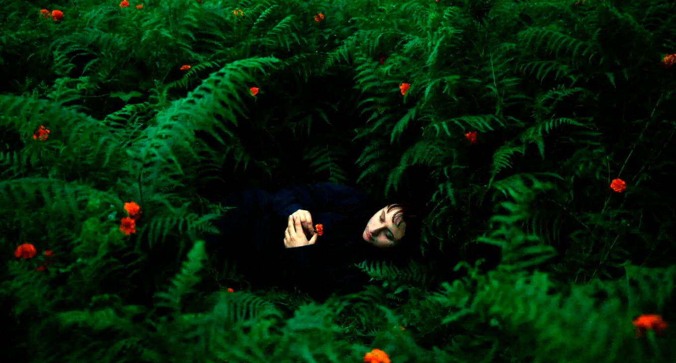 The Human Hibernation