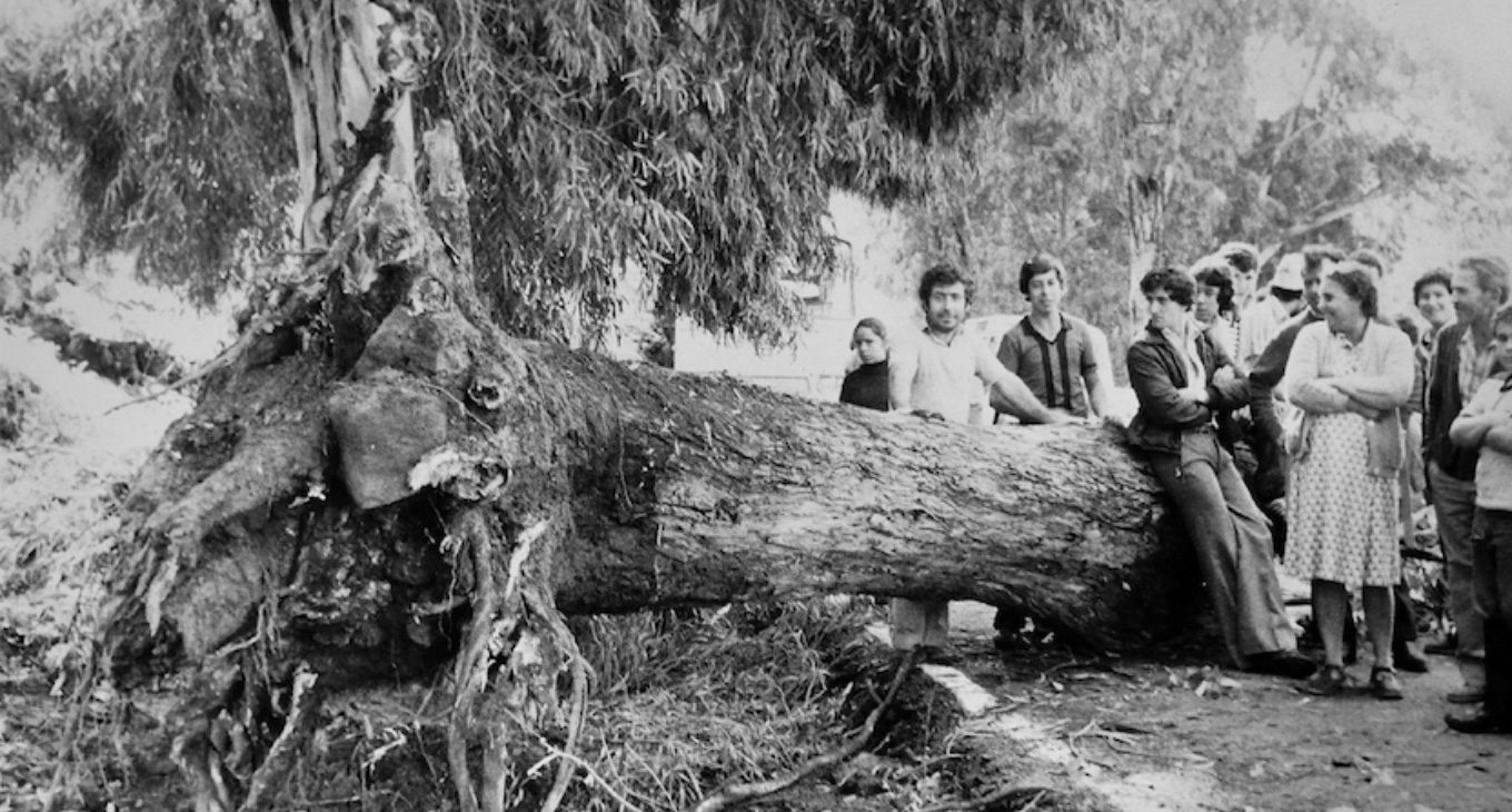 Fotografía Contraelparaiso de Rafael Arocha