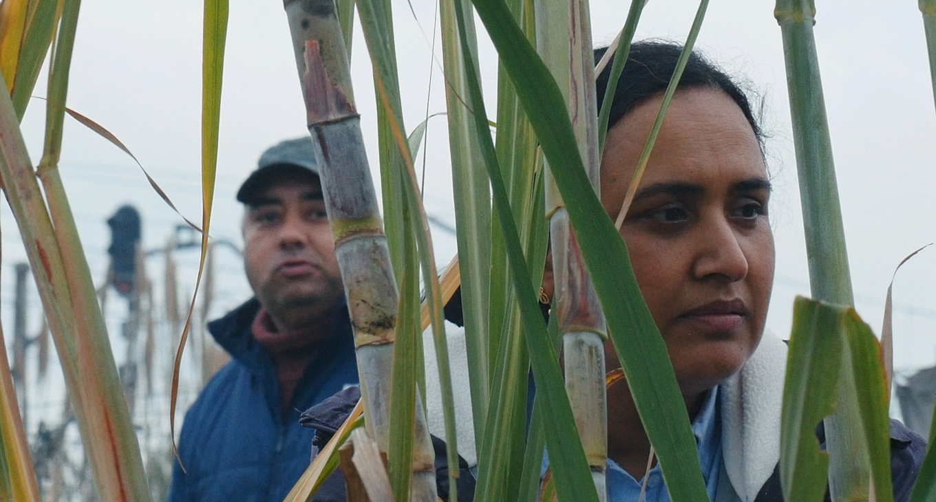Historias del buen valle